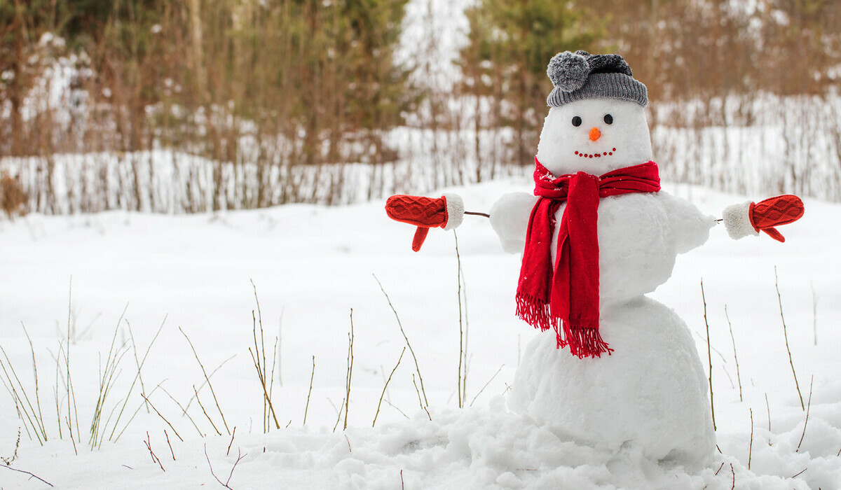 Snowman standing in a field. Snowman has a grey hat, black eyes, orange nose, red buttons for a smith. He is wearing red mittens and a red scarf.